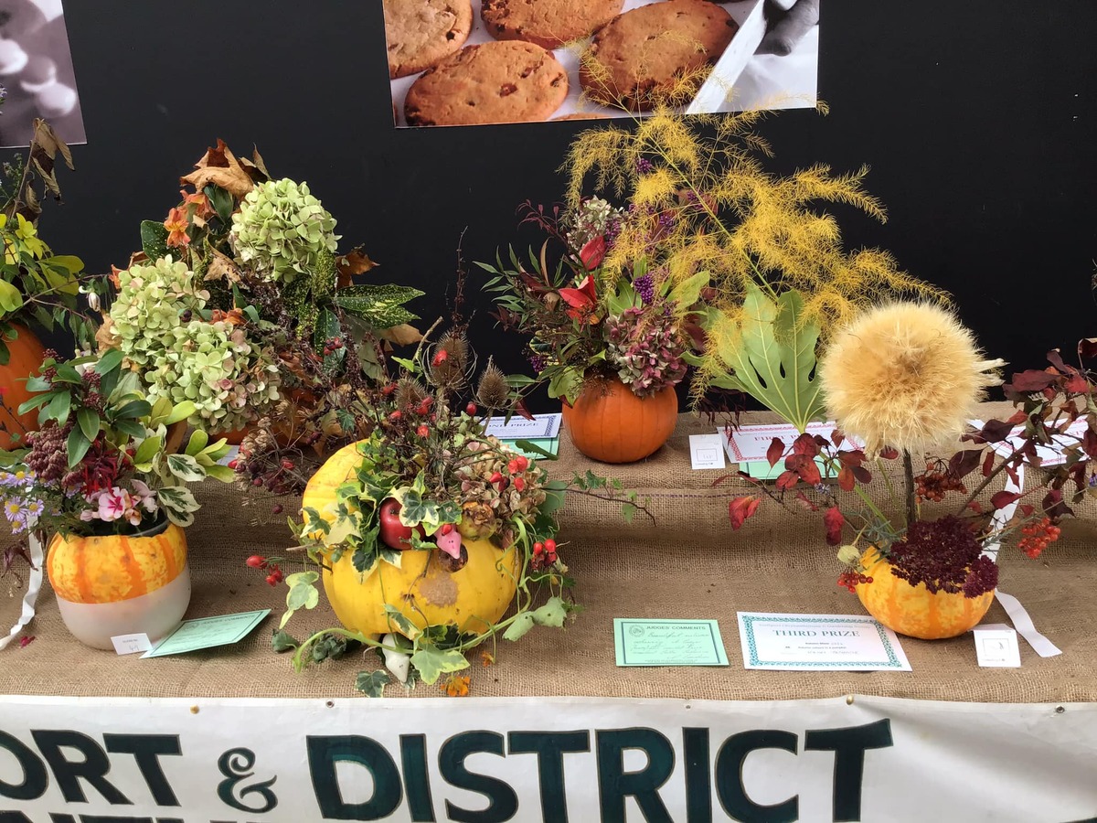 SCGS Autumn Show 2024